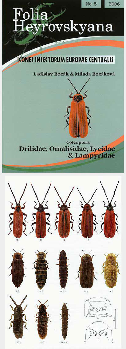 Bocak L., Bocakova M., 2006, Icones Insectorum Europae Centralis: No. 5, Drilidae, Omalisidae, Lycidae, Lampyridae.