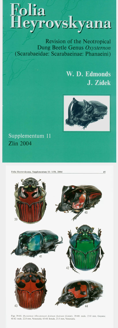 Edmonds W. D., Zdek J., 2004, Folia Heyrovskyana, Supplementum 11: Revision of the Neotropical Dung Beetle Genus Oxysternon (Scarabaeidae: Scarabaeinae: Phanaeini).  
