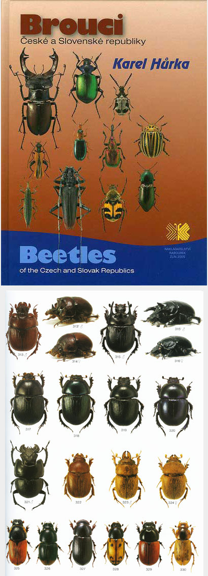 Hurka K., 2017, Beetles of the Czech and Slovak Republics.