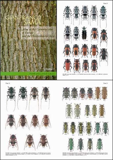 Sama G., 2002, Atlas of the Cerambycidae of Europe and Mediterranean area. Part 1. Northern and Central Europe. 