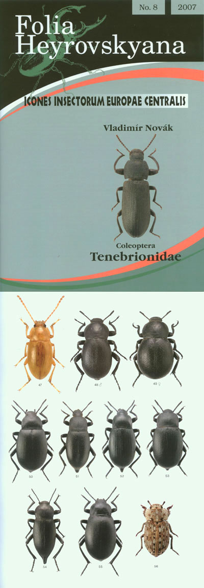 Novak V., 2007, Icones Insectorum Europae Centralis: No. 8, Tenebrionidae. 