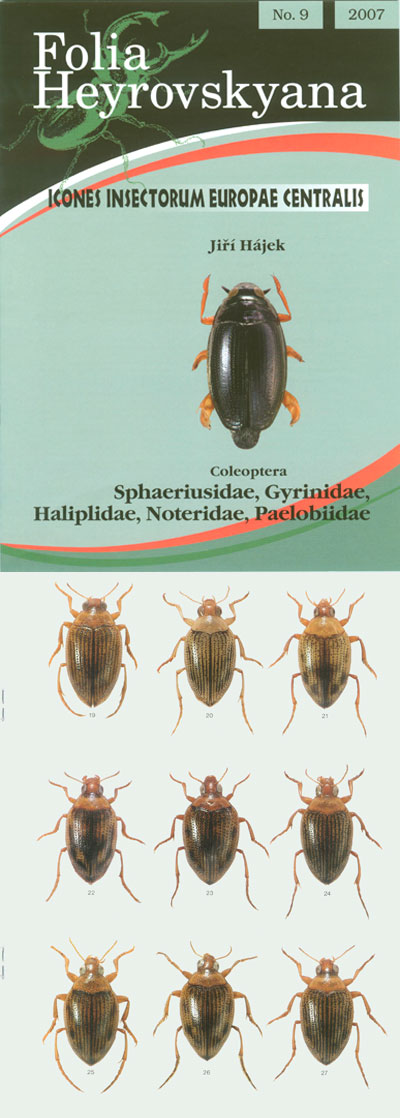 Hajek J. 2007, Icones Insectorum Europae Centralis: No. 9, Sphaeriusidae, Gyrinidae, Haliplidae, Noteridae, Paelobiidae. 