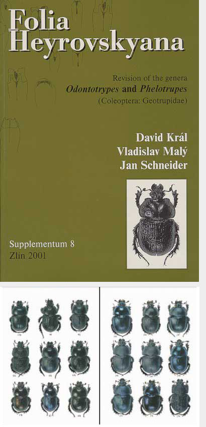 Kral D., Maly V., Schneider J., 2001, Folia Heyrovskyana, Supplementum 8: Revision of the genera Odontotrypes and Phelotrupes (Coleoptera: Geotrupidae).  