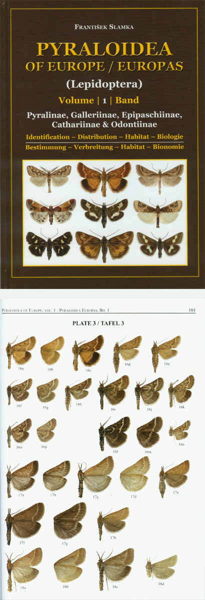 Slamka F., 2006, Pyraloidea of Europe - Vol 1, Pyralinae, Galleriinae, Epipaschiinae, Cathariinae & Odontiinae.
