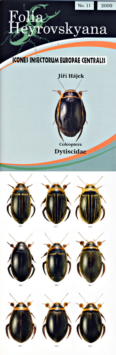Hajek J., Icones Insectorum Europae Centralis: No. 11 - Dytiscidae.