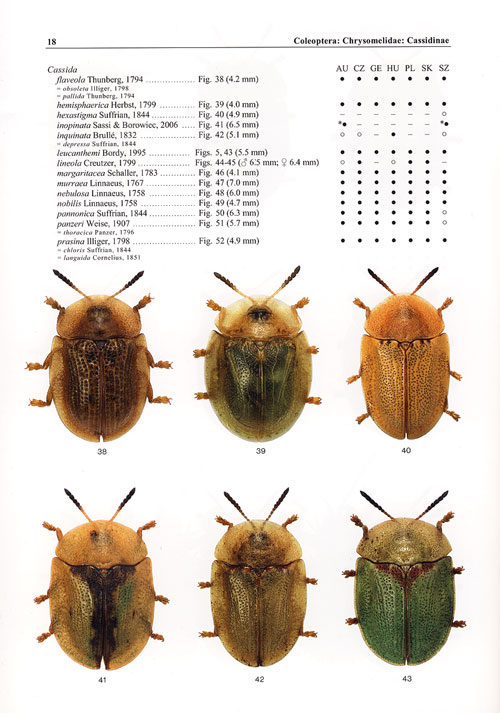 Sekerka L. - Icones Insectorum Europae Centralis: No. 13;
Coleoptera: Chrysomelidae Cassidinae