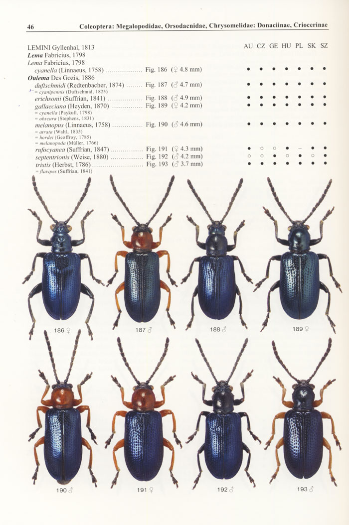 Bezdek J., Mlejnek R., 2016 - Icones Insectorum Europae Centralis No. 27 Coleoptera: 27<br>Coleoptera: Megalopodidae, Orsodacnidae, Chrysomelidae: Donaciinae, Criocerinae