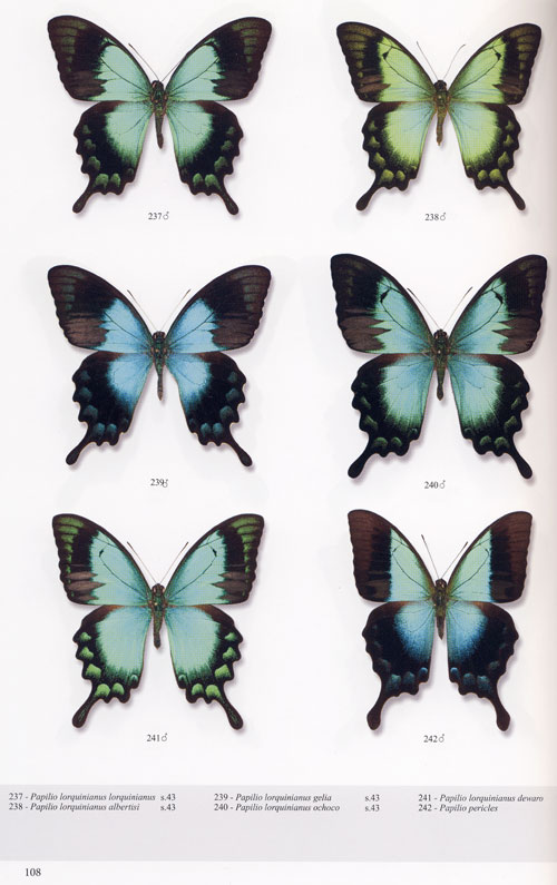 Masowski J., Fioek K - Motyle wiata; paziowate - papilionidae